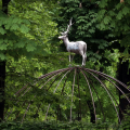 Animali a Corte. Vite mai viste nei Giardini Reali