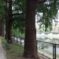 Parco Michelotti