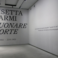 Lisetta Carmi. Suonare forte