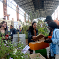 Al via Terra Madre Salone del Gusto:  a Parco Dora cinque giorni in cui il cibo è protagonista