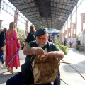 Al via Terra Madre Salone del Gusto:  a Parco Dora cinque giorni in cui il cibo è protagonista