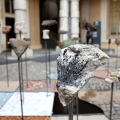 Il bosco delle rocce