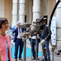 Il bosco delle rocce in mostra al Rettorato dell'Università degli studi di Torino