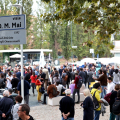 Viale Ottavio Mario Mai