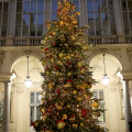 L'albero di Natale nel Cortile d'Onore di Palazzo Civico