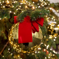 L'albero di Natale nel Cortile d'Onore di Palazzo Civico
