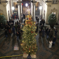 Inaugurato L'albero di Natale nel Cortile d'Onore di Palazzo Civico