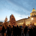 L'albero di Natale in piazzetta Reale
