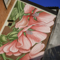 Un muro in fiore a Torino - L’artista Doa Oa firma il nuovo murale in via Fratelli Calandra, 10