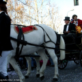 Gianduja sul carro