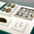 Musei Reali, Museo di Antichità, Spazio Passerella:  VIVERE SULL’ACQUA. Vita quotidiana nell’Età del Bronzo