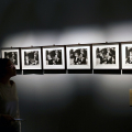 Musei Reali, Sale Chiablese: Ruth Orkin. Una nuova scoperta