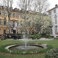 Riapre il Giardino di Palazzo Cisterna