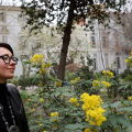 Riapre il Giardino di Palazzo Cisterna