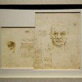 A tu per tu con Leonardo alla Biblioteca Reale