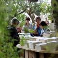 Il bosco degli scrittori