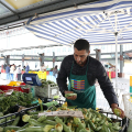Torino Mercati