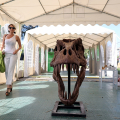 Dinosaurs Live City Invasion