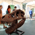 Dinosaurs Live City Invasion