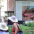 La mostra fotografica 'La Rosa di Damasco. Dalla Siria a Torino'