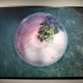 'Luca Locatelli. The Circle' Soluzioni per un futuro possibile