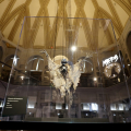 Il Mondo di Tim Burton alla Mole Antonelliana
