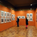 Picasso Rendez-vouz a Torino a Palazzo Saluzzo Paesana