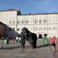 Piazzetta Reale - Davide Rivalta, Gorilla