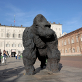 Piazzetta Reale - Davide Rivalta, Gorilla