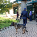 Il Canile Rifugio Città di Torino in strada Cuorgnè 139