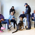 La dimostrazione dell'Unità Cinofila della Polizia Locale