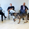 La dimostrazione dell'Unità Cinofila della Polizia Locale