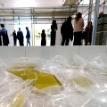 Through the Palestinian Museum of Natural History and Humankind