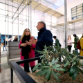 Through the Palestinian Museum of Natural History and Humankind