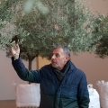 Khalib Rabah