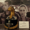 Raduni 2011