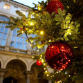 Acceso l’Albero di Natale di Palazzo Civico