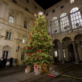 Acceso l’Albero di Natale di Palazzo Civico