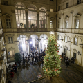 Acceso l’Albero di Natale di Palazzo Civico