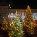 Il boschetto di Natale e il videomapping "Sette storie di Natale di Gianni Rodari"