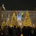 Il boschetto di Natale e il videomapping "Sette storie di Natale di Gianni Rodari"