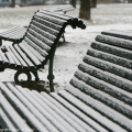 Panchine - img_1959
