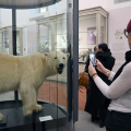 Riapre al pubblico il Museo Regionale di Scienze Naturali