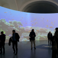 Riapre al pubblico il Museo Regionale di Scienze Naturali