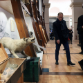 Riapre al pubblico il Museo Regionale di Scienze Naturali