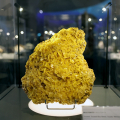 Riapre al pubblico il Museo Regionale di Scienze Naturali