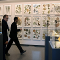 Riapre al pubblico il Museo Regionale di Scienze Naturali