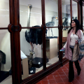Riapre al pubblico il Museo Regionale di Scienze Naturali