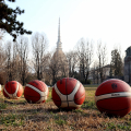 Giardini Reali, Mole Antonelliana