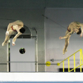La coppia tedesca formata da Patrick Hausding e Sasha Klein, medaglia d\'oro